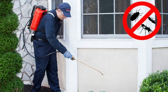 Osmaniye Kene İlaçlama böcek ilaçlama ve haşere kontrolü — ilaclama-tr.com